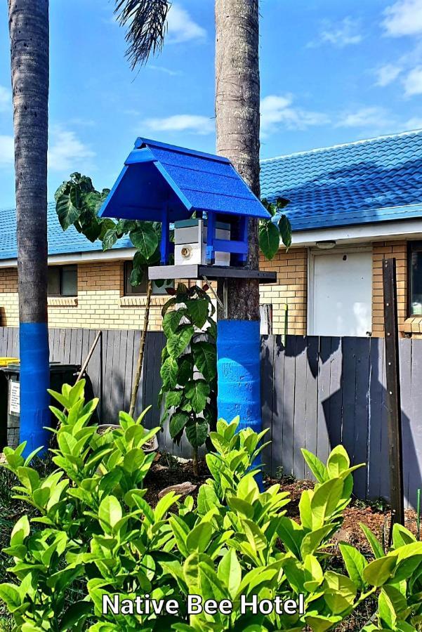 City Lights Motel ทวีดเฮดส์ ภายนอก รูปภาพ